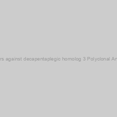 Image of Mothers against decapentaplegic homolog 3 Polyclonal Antibody